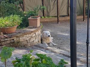 Imagen de la galería de Agriturismo Il Solaio, en Rapolano Terme