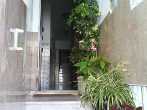 Afbeelding uit fotogalerij van Casa Sousa in Lagos