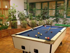 einen Billardtisch in einem Zimmer mit Pflanzen in der Unterkunft Hotel Sommerhaus in Bad Leonfelden