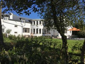 a white house with a lawn in front of it at Gite La Cigogne in Couvin