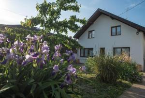 a white house with purple flowers in front of it at Apartments Osijek by the River in Osijek