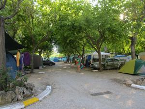 Galería fotográfica de Camping La Aventura Playa en Daimuz 3 fotos más