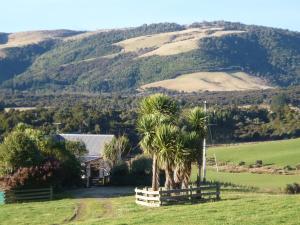 a group of palm trees on a hill with a house at Hilltop Accommodation Catlins in Papatowai