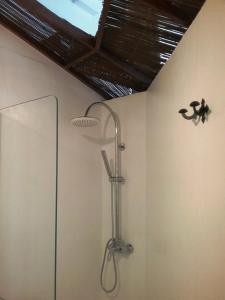 a bathroom with a shower with a monkey on the wall at Casa Rural "La Molina" in Máguez