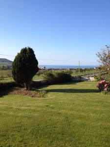 a grassy yard with a tree and the ocean in the background at The Greannan Bed & Breakfast in Blackwaterfoot