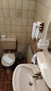 ein Badezimmer mit einem weißen Waschbecken und einem WC in der Unterkunft Landhaus im kühlen Grunde Garni in Pracht