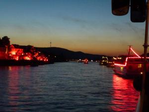 ロフにあるFerienwohnungen im Moseltalの船上からの川の夜景