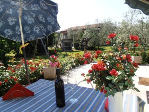 Zahrada ubytování Agriturismo la Casetta