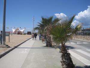 a sidewalk on the beach with people and a palm tree at Pension Casa Austria in Calella