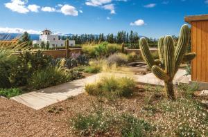 Fotografie z fotogalerie ubytování Adobe Charm v destinaci Cafayate