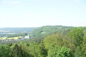 uma vista para uma floresta de árvores com um edifício à distância em Hotel Gasthof Schönblick em Neumarkt in der Oberpfalz