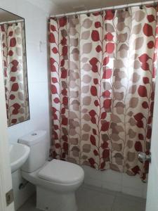 un bagno con un water e una tenda da doccia di Tronador I a Puerto Montt 1 altra foto