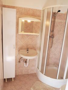 bagno con lavandino e doccia di Soča Apartment a Nova Gorica