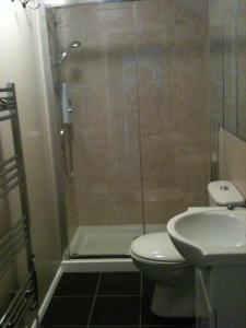 a bathroom with a shower with a toilet and a sink at Hope Terrace in Matlock