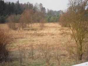 Príroda v okolí dovolenkového domu