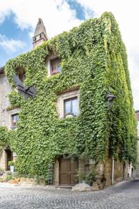 a building covered in ivy with a clock on it at B&B dei Papi Boutique Hotel in Viterbo