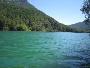 Príroda v okolí apartmánu