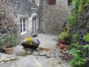 a courtyard with a pot of flowers next to a building at La Maison De Béatrice in Murat