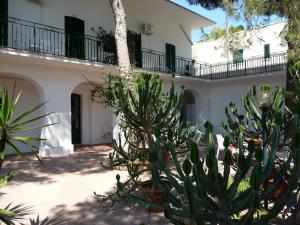 a group of plants in front of a building at Villa Stasi B&B in Leuca