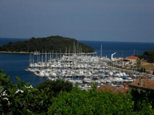 a bunch of boats docked in a harbor at Degrassi Square Apartments in Vrsar