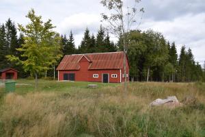 Paesaggio naturale nelle vicinanze of country house