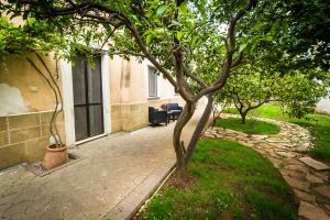 un albero in un cortile accanto a un edificio di Agrumeto degli Angeli a Brindisi