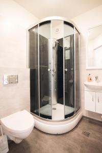 La salle de bains est pourvue d'une douche en verre et de toilettes. dans l'établissement Guesthouse Grund, à Grindavík