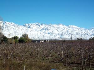 a snow covered mountain range with a field and trees at Cabana Mamull in La Consulta
