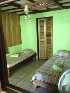 a bedroom with two beds and green walls at La Casa de Rolando in Puerto Viejo