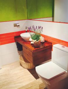 a bathroom with a sink and a toilet at Lo Raconet in Deltebre