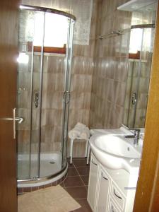 ein Bad mit einer Dusche und einem Waschbecken in der Unterkunft Appartement Roiss in Podersdorf am See