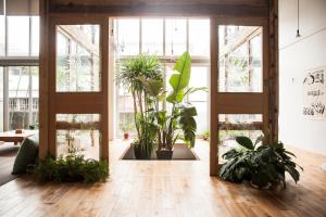 a room filled with lots of plants and windows at Star Hostel Taipei Main Station in Taipei