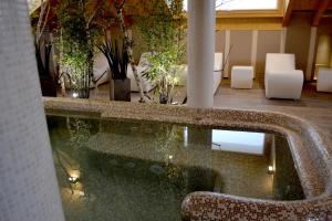 a pool in a room with chairs and plants at Rosa Purpurea Hotel in Valdagno