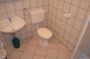 łazienka z toaletą i umywalką w obiekcie Apartment MARA w mieście Šilo