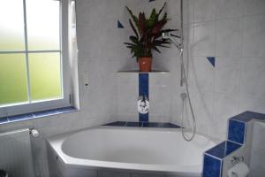 ein Badezimmer mit einer Dusche und einer Badewanne mit einer Pflanze in der Unterkunft Erlebnispension Zum Wanderer Sepp in Arnbruck