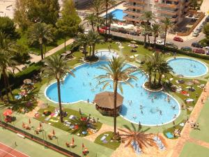 an overhead view of a large swimming pool with palm trees at Florazar de Ensueño in Cullera