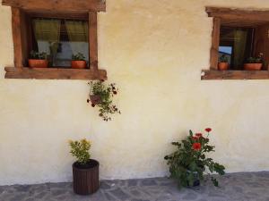 two windows with potted plants on the side of a building at Hotel Bashinjaghyan in Sevan