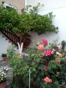 a bunch of pink roses in front of a building at Sofia's Garden by Booking Kottas in Skopelos Town