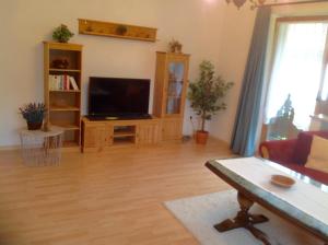 Μια τηλεόραση ή/και κέντρο ψυχαγωγίας στο Ferienwohnungen Hölzl
