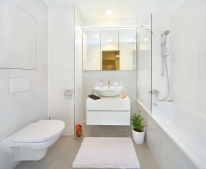 a bathroom with a toilet and a sink and a shower at Suites and Apartments Medvědín in Špindlerův Mlýn