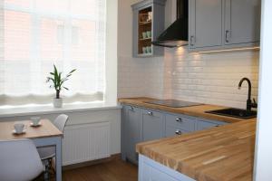 a kitchen with a sink and a counter top at Design apartment in Liepāja