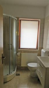 a bathroom with a shower and a toilet and a window at Holiday House Kanalec in Drežnica +4 photos