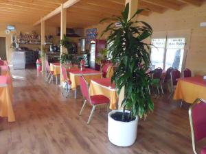 Reštaurácia alebo iné gastronomické zariadenie v ubytovaní Motel San Isidro