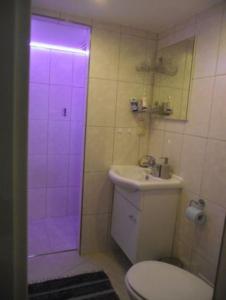ツィノヴィッツにあるFerienwohnungen im Seebad Zinnowitz-500m zum Strandのバスルーム(トイレ、紫色の照明付きシャワー付)
