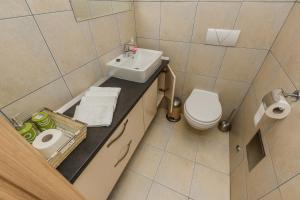 een kleine badkamer met een wastafel en een toilet bij Villa Joma 2 in Trogir +13 foto's