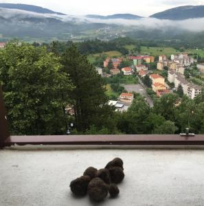 Příroda nedaleko apartmánu
