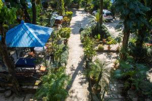 Vrt pred nastanitvijo Yeti Guest House