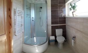 a bathroom with a shower and a toilet at Vila Laima in Šventoji +61 photos
