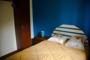 Habitación azul con cama con 2 almohadas en Gites de la falaise, en Le Tampon