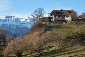 パッシーにあるLes Hauts de Savoieの山を背景にした丘の上の家